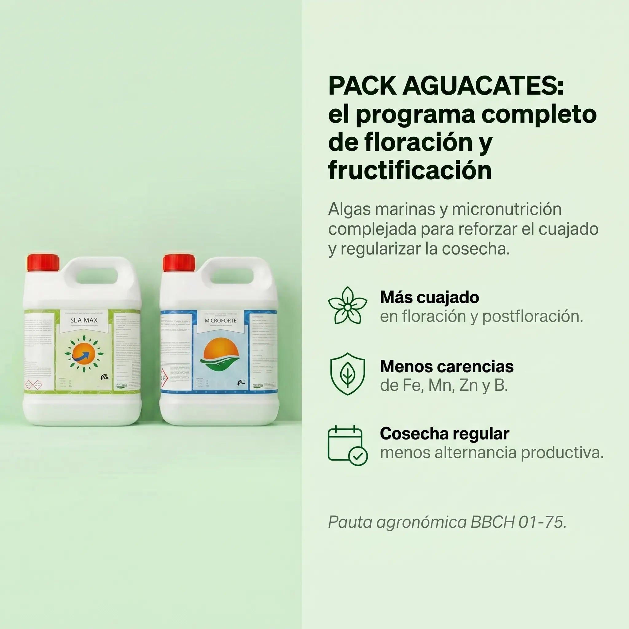 Pack Aguacate - Programa de floración y fructificación