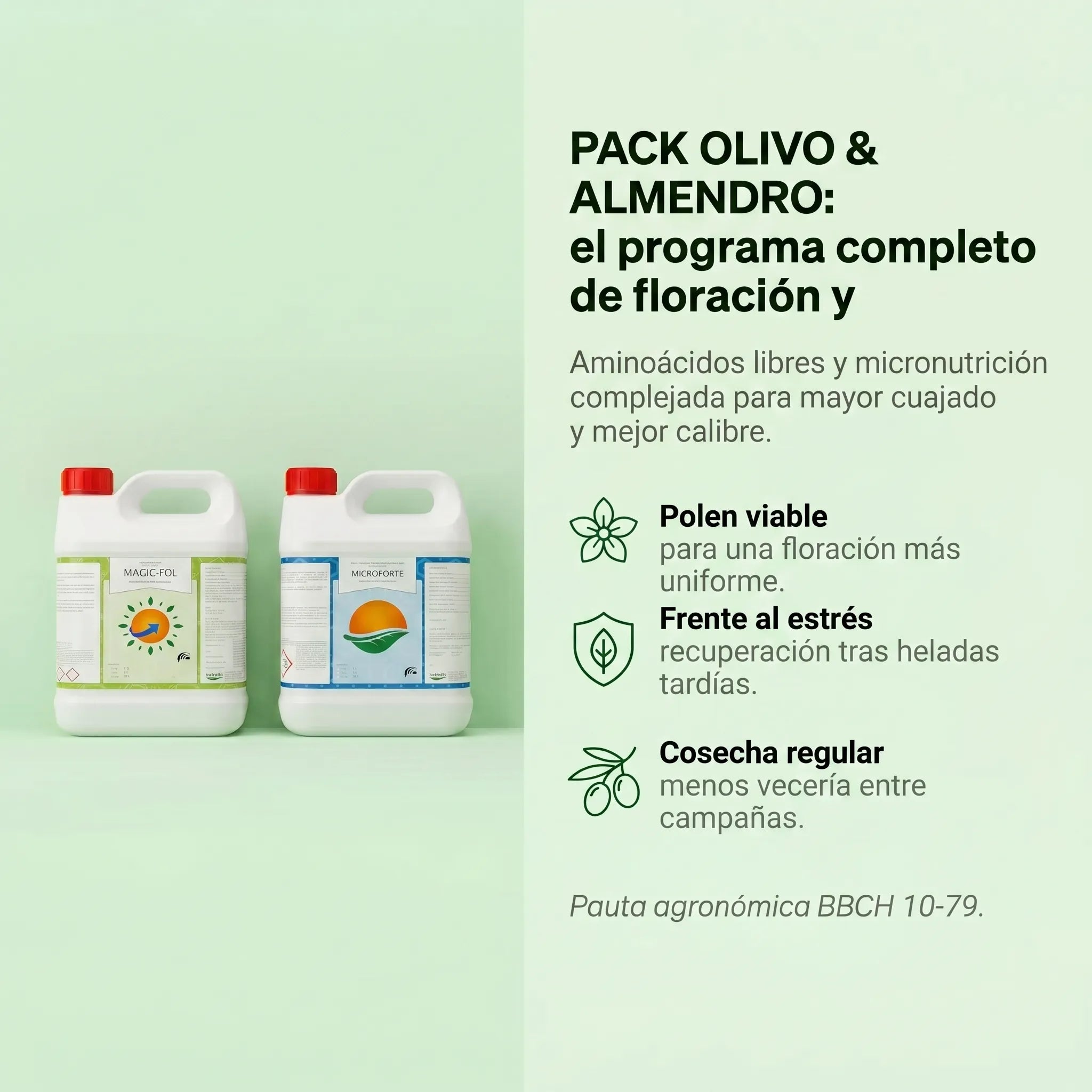 Pack Olivo y Almendro - Programa de floración y fructificación